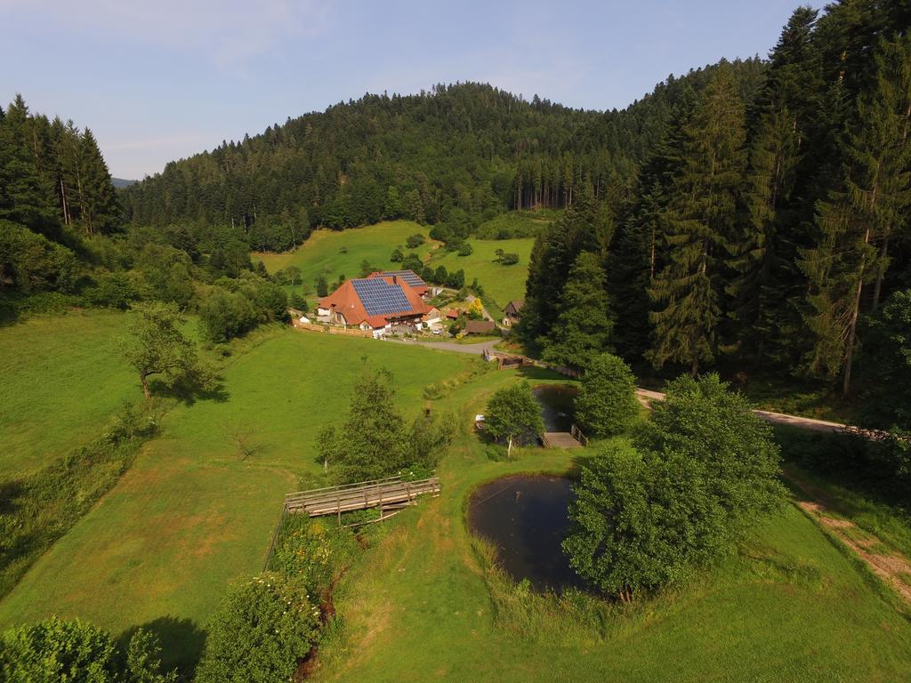 Muellerjoergenhof Apartamento Gutach Exterior foto